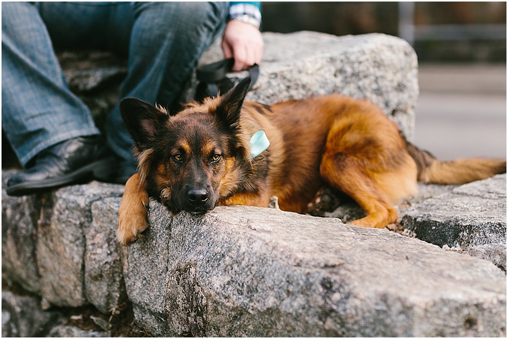 Baltimore_And_Ellicott_City_Engagement_Session_Baltimore_Wedding_Photographer_0025