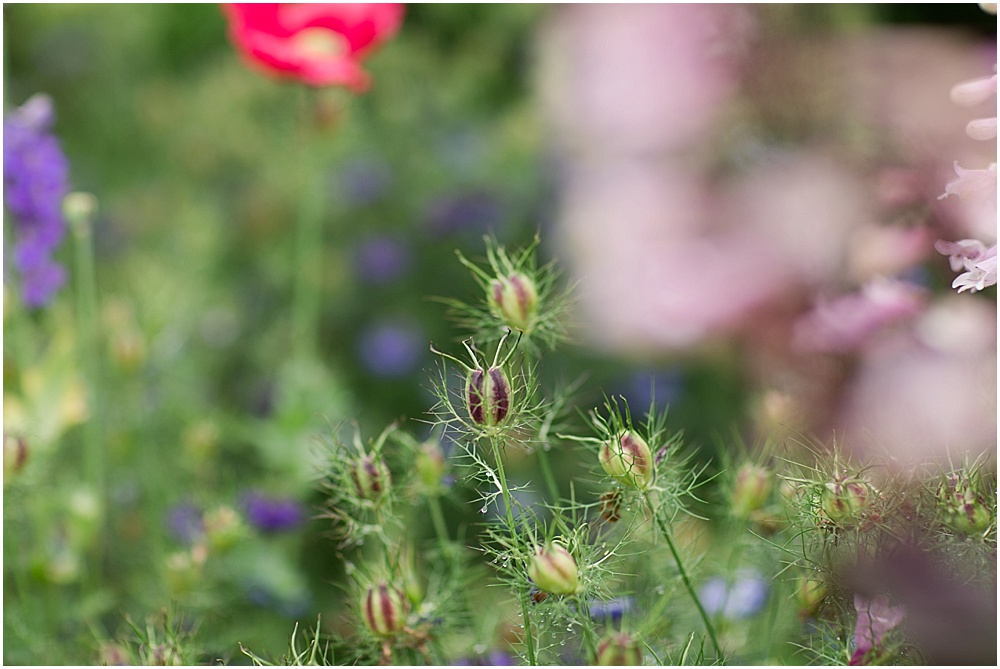 National_Cathedral_Washington_DC_Family_Photographer_0018