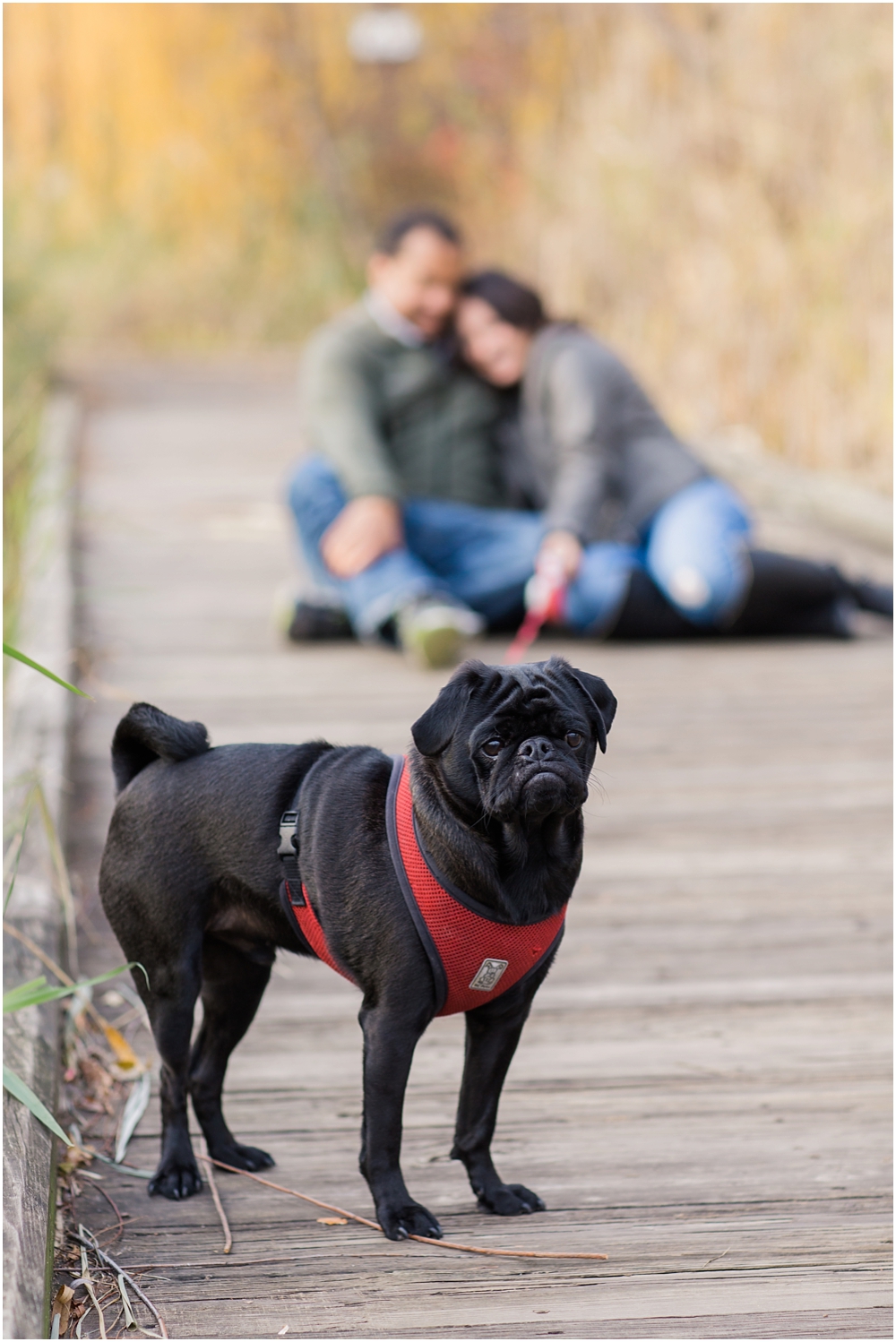 patterson_park_fall_session_megangreg_baltimore_wedding_photographer_0007