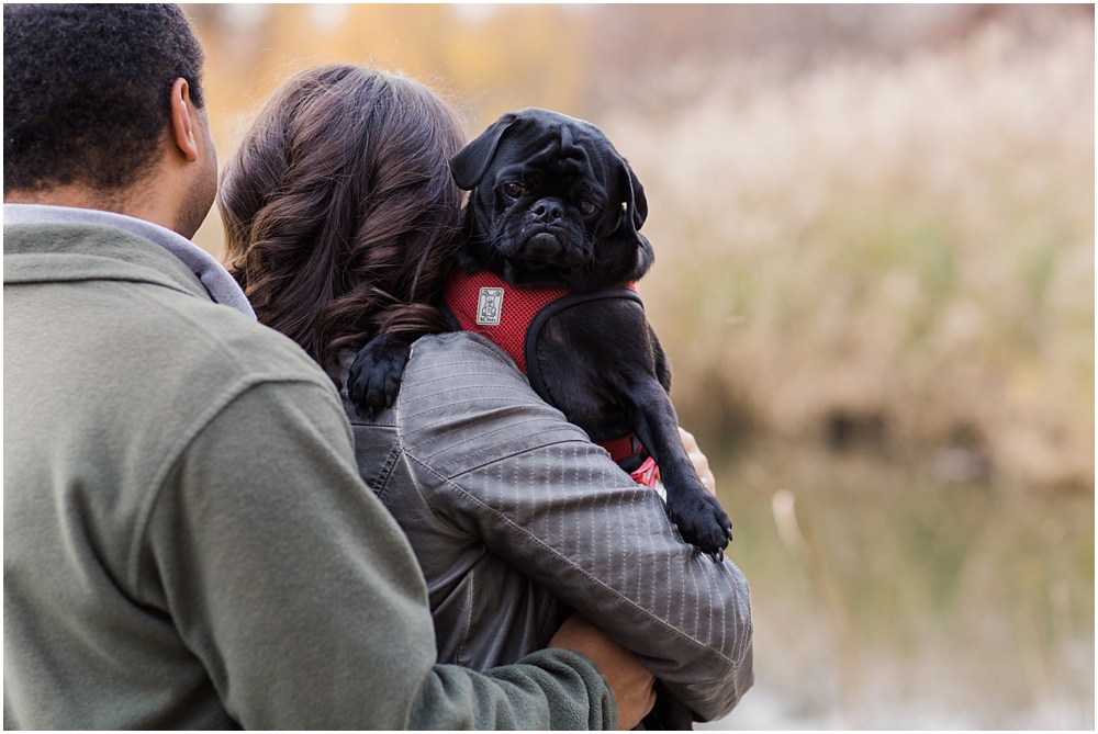 patterson_park_fall_session_megangreg_baltimore_wedding_photographer_0014