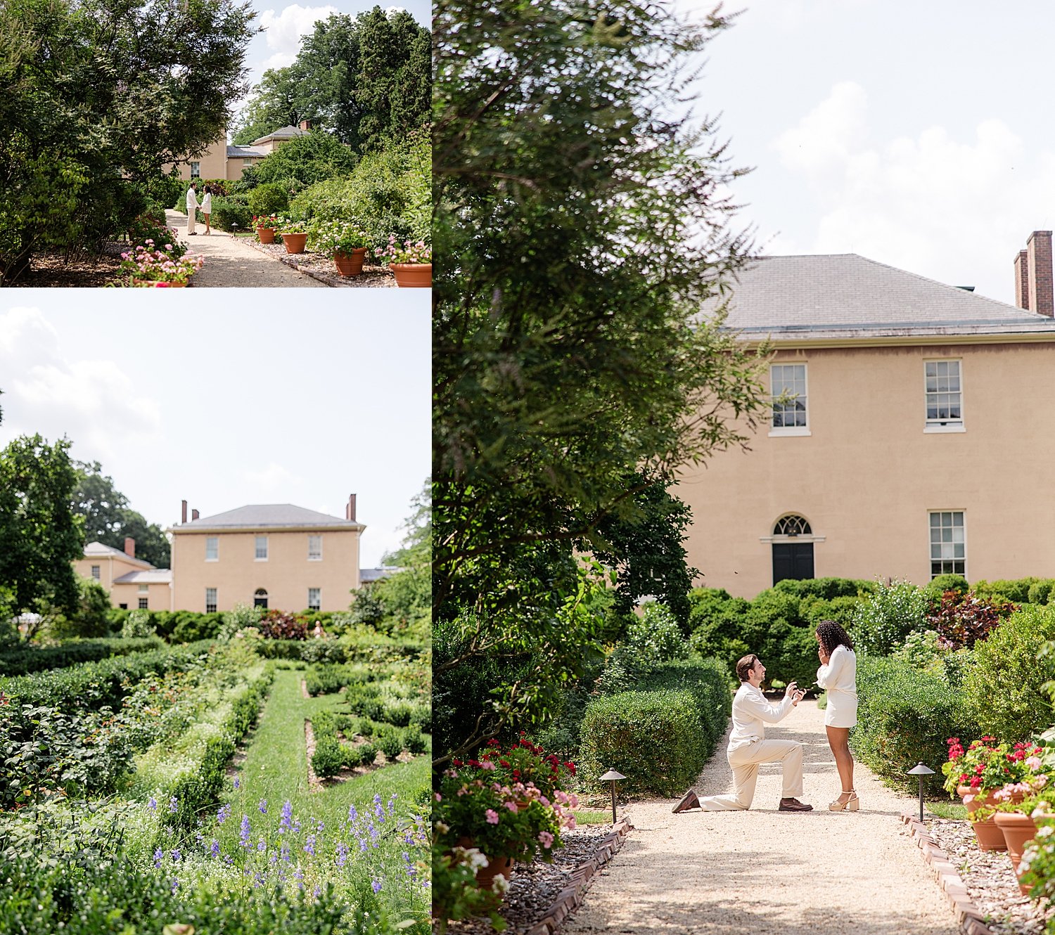 man kneels down to ask question in garden for proposal photos
