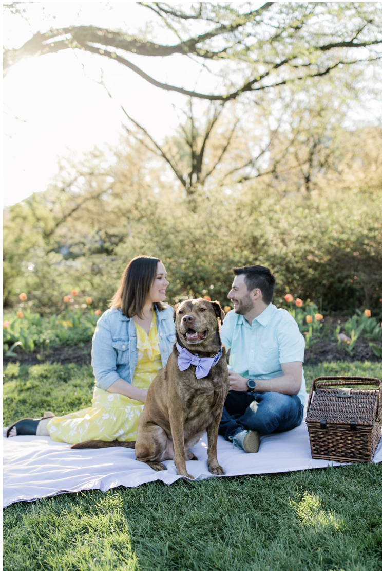 Picnic style engagement session with dog at Cylburn Arboretum, one of the most scenic engagement photo locations in Baltimore