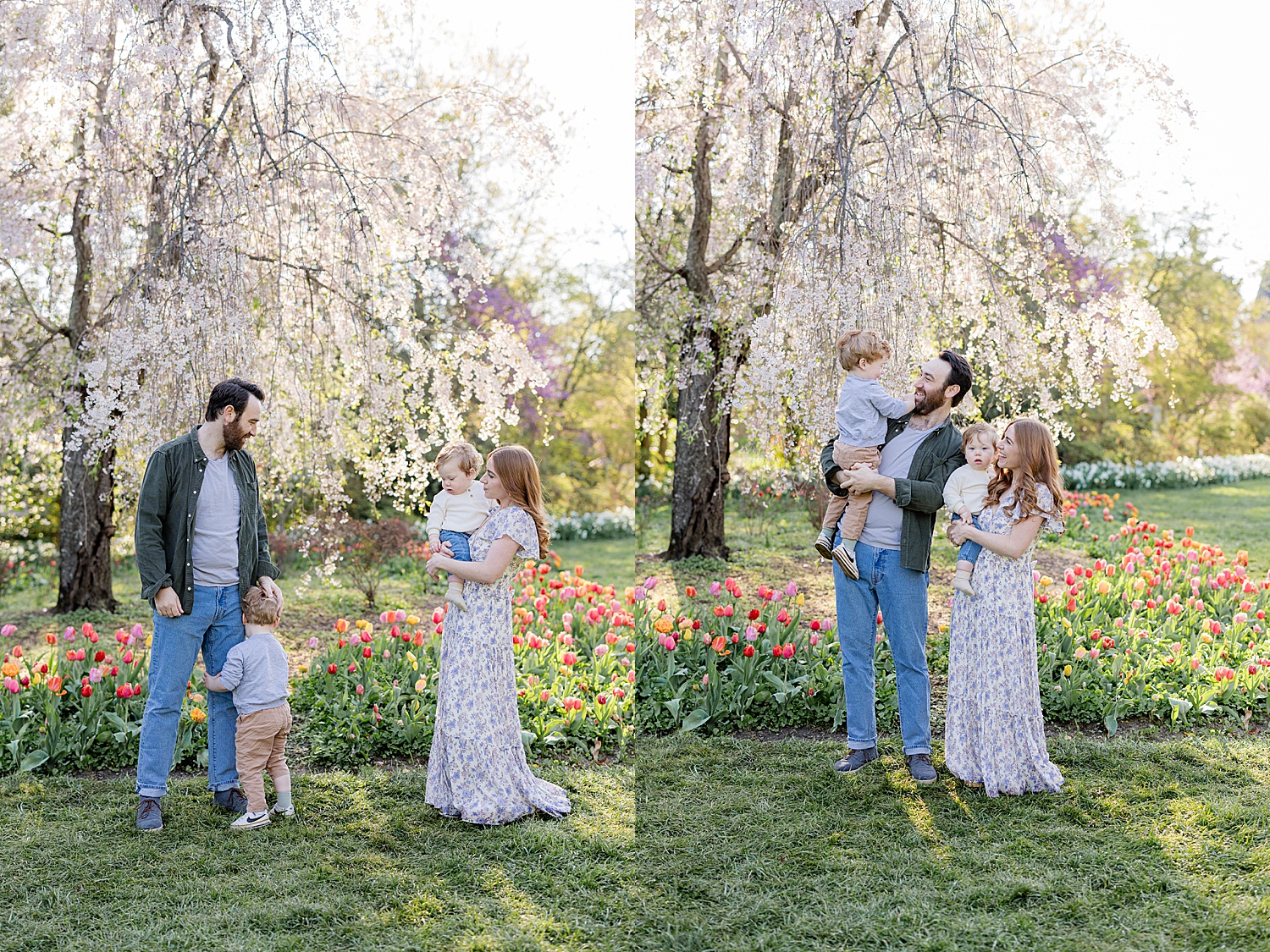 parents stand in front of tulips with their kids by Baltimore family photographer