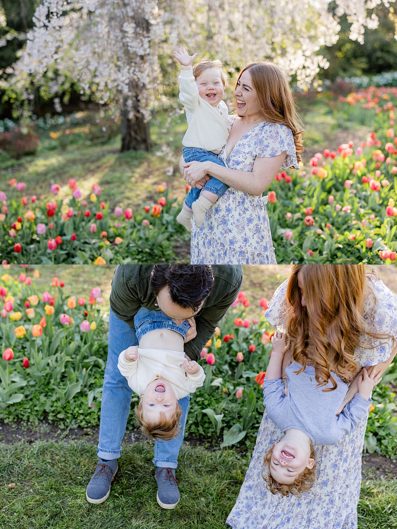 mom holds her toddler by tulips in Sherwood Garden documenting young families